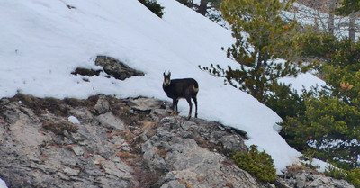 Vallon et cabanes du Sause