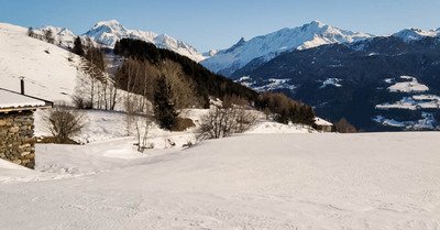 Promenade dans l'alpage