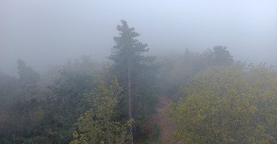 Reprise trail direction le Galtz