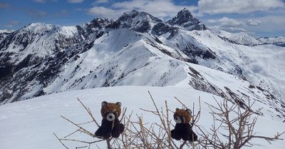 Tete de la Gipiere (2443)