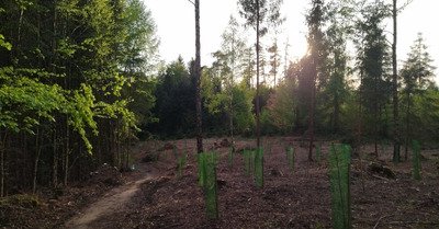 &Ccedil;a sent le sentier