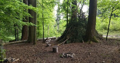 Pause caf&eacute;...