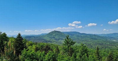Sortie trail proche du Haut-Koenigsbourg