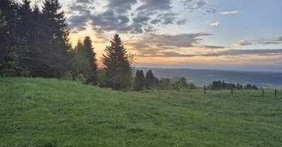 Dimanche pouri? Ou pas 🤩