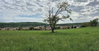 Sur les traces du GTJ