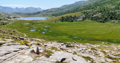 Un classique dans la vall&eacute;e de Calacuccia 
