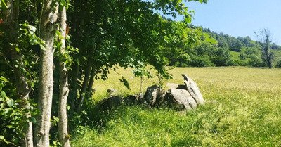 Sortie VTT two in one et bien cuite... 🏔️