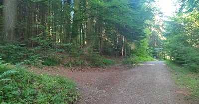 Quelques sensations à la fraiche