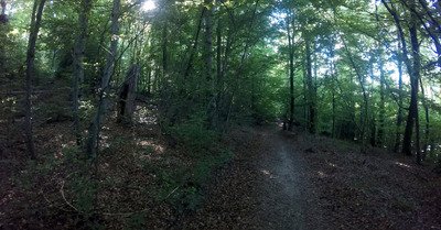 Un live &agrave; boire tr&egrave;s frais
