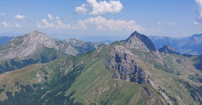 C'est vert...et c'est beau 🤩🤩