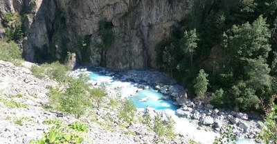 Le V&eacute;n&eacute;on comme compagnon