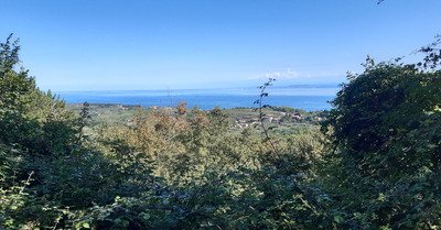 Slovénie SW - Entre mer, vignes et oliviers 