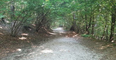 Slov&eacute;nie, Ljubljana - Urban trail?