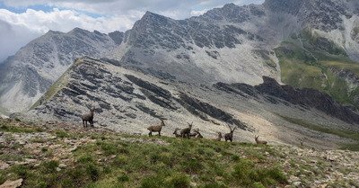 Lac Lacroix et traversee Sparveyre (3002)
