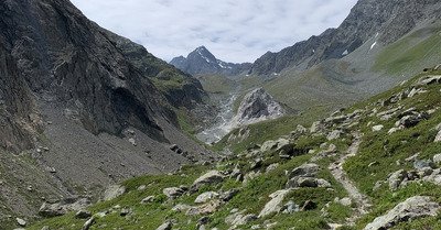 Rencontres animales - Les lacs du Mont Coua