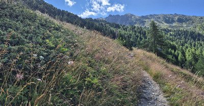 Sur les traces de Sierre-Zinal et un bel EXTRA 🤩