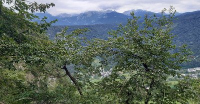 Slov&eacute;nie - Trail sur les hauteurs de Bohinj