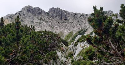 Slovénie - Visevnik
