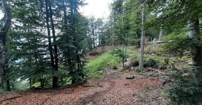 Slov&eacute;nie - M&eacute;t&eacute;o capricieuse 