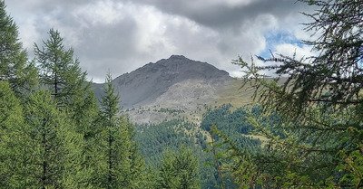 Les Doudoux au Petit Rochebrune (3078)