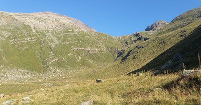 L'aiguille de l'&eacute;paisseur 