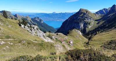 Tricotage entre France et Suisse 