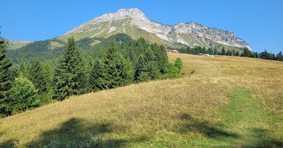 Les bauges, un refuge contre la canicule&nbsp;?