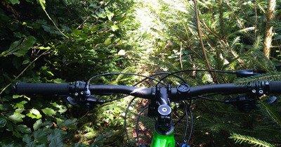 Les p'tites Berg du plateau