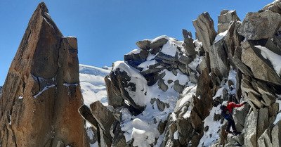 Cosmiques au top