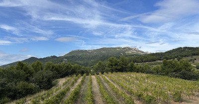 Sentiers escarp&eacute;s, vignes et chapelle !