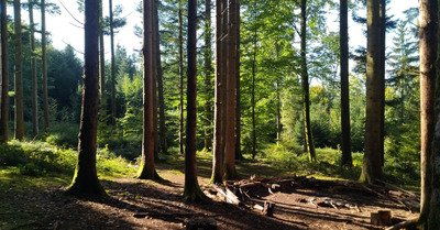 C'est parti pour l'automne 