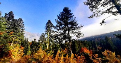 S'&eacute;chapper de la chappe !