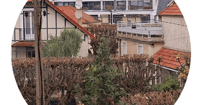 Entre for&ecirc;t et fleuve...