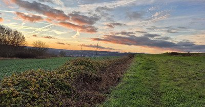 Belgique. C'est le printemps! Il n'y a plus de saison...