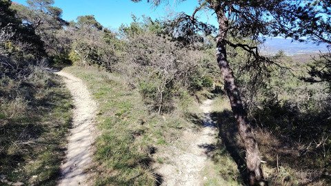 Reprise d'activit&eacute; printani&egrave;re VTT
