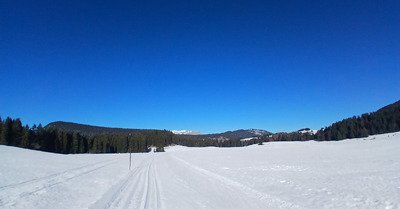 Sunset Boulevard Mec !