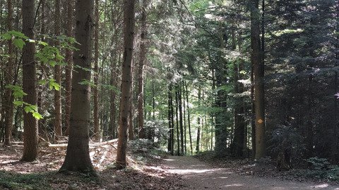 3 p'tites collines &agrave; VTT