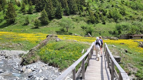Promenade du dimanche