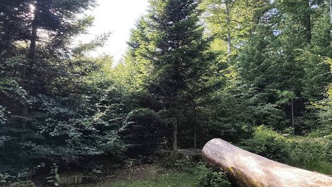 Feu les gla&ccedil;ons 