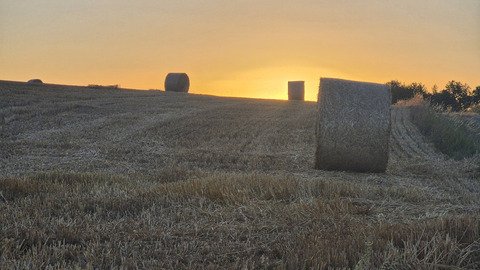 Sortie matinale