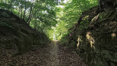 Dans les trous de l'Emmental 