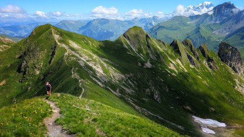 Une bien belle sortie