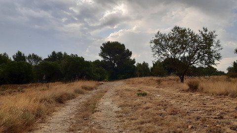 Running proven&ccedil;al