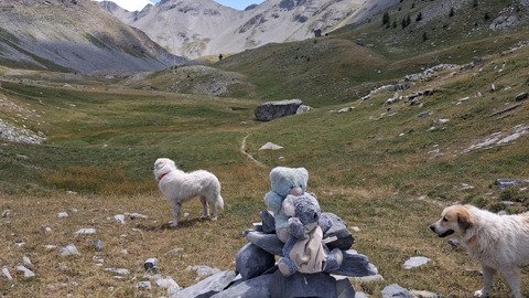 Travers&eacute;e du sommet de Gialorgues (2761)
