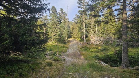 Sunset session : tour de Chamrousse en VTTAE