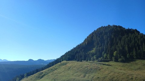 Retour au Paradis