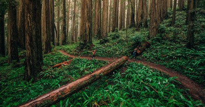 columbia trans alps fkt