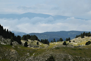 Les Hauts Plateaux du Vercors