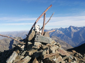 Vieux Chaillol, sommet facile &agrave; 3163 du parc des Ecrins