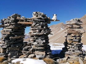 L'Aupillon (2916) et le Rocher des Cailles, tr&egrave;s jolis sommets en Ubaye !